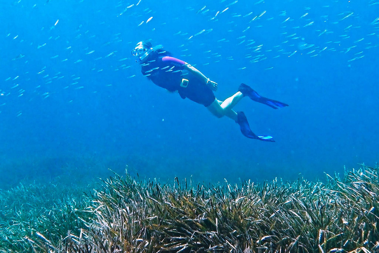 Mallorca: snorkeltour met gids vanaf een boot in een verborgen baai