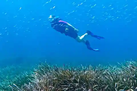 Mallorca: snorkeltour met gids vanaf een boot in een verborgen baai