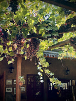 Asado Argentino +访问2家酿酒厂 +包括运输 - Housity