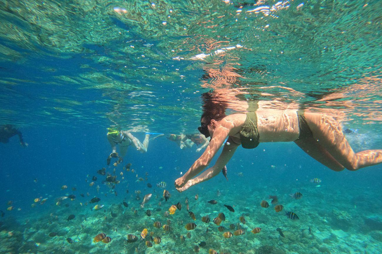 Lombok: Snorkeling Trip to The Best Two Gilis From Lombok