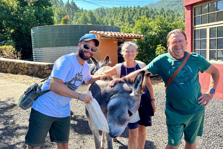La Palma : Visite d'une ferme écologique avec animaux et dégustation