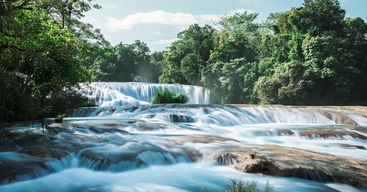 Palenque: Recorrido por la Cascada de Roberto Barrios | GetYourGuide