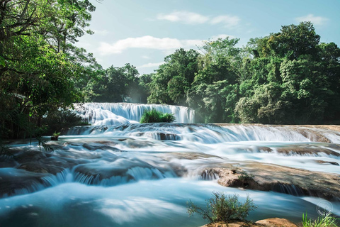 Palenque: Roberto Barrios waterval tour