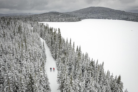 Quebec City: Introduction to cross-country skiing at Camp Mercier