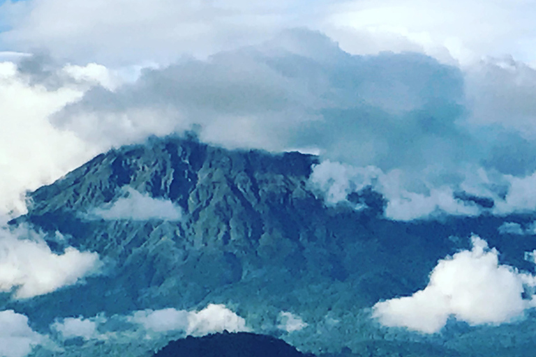 Excursion d'une journée à pied dans le parc national d'ArushaExcursion d'une journée dans le parc national d'Arusha et safari à pied