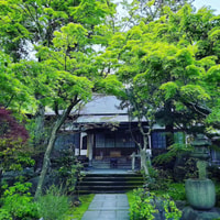 Kamakura, Zen Journey - Housity