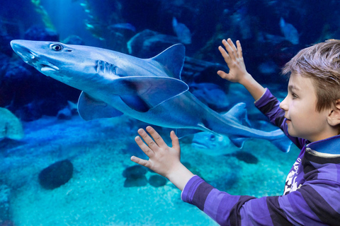 SEA LIFE Berlijn TicketsDagkaart