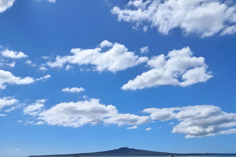 Auckland: Waitematā Harbour Cruise with Live Commentary