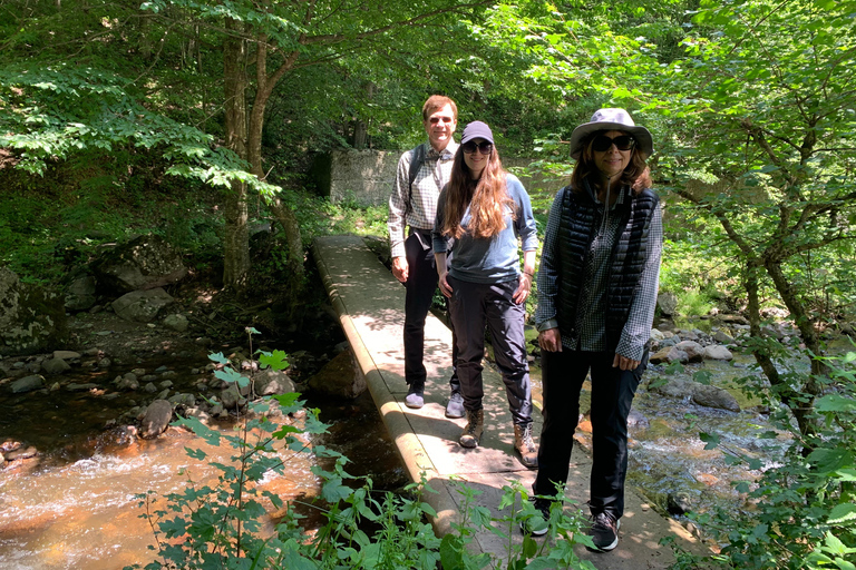 Hiking in Dilijan National Park: From Parz Lake to Goshavank