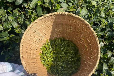 من هانغتشو: قرية لونغوو للشاي، جولة في بلدة لونغمن والسدGuide for other languages