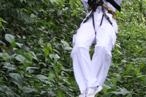San Jose: Zipline + Canyoning + Transportation + Lunch Combo