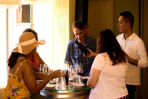 Florenz: Tolle Chianti-Wein- und Olivenöl-Tour mit MittagessenWein und Olivenöl – ein echtes Erlebnis