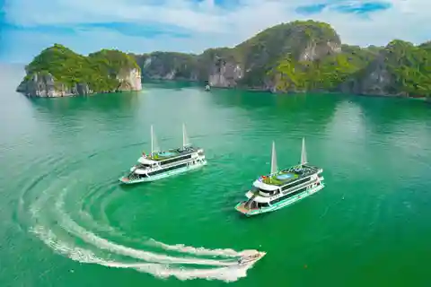 Desde Ninh Binh : Crucero de 1 día en kayak por la bahía de Ha Long - Ha Noi