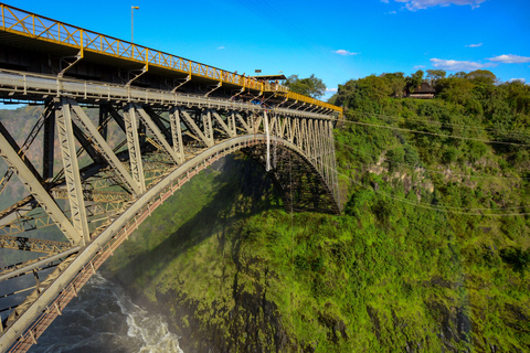 Från Victoria Falls: Historisk bro-tur