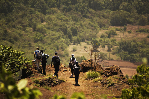 Sri Lanka: 3-tägige Hill Country Experience mit Zugfahrt