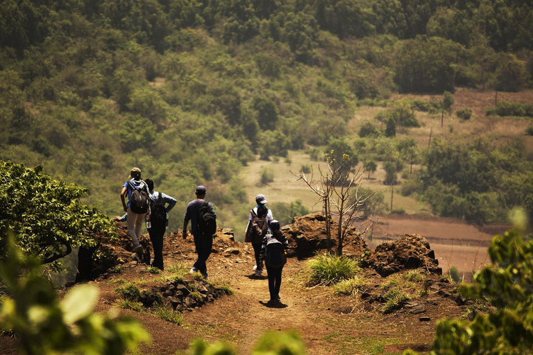 Sri Lanka: 3-tägige Hill Country Experience mit Zugfahrt