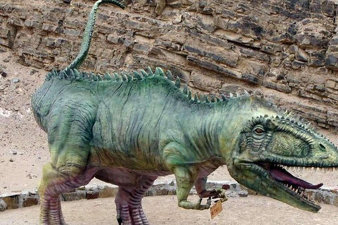 Arequipa: Excursion to Querulpa and Chancaray