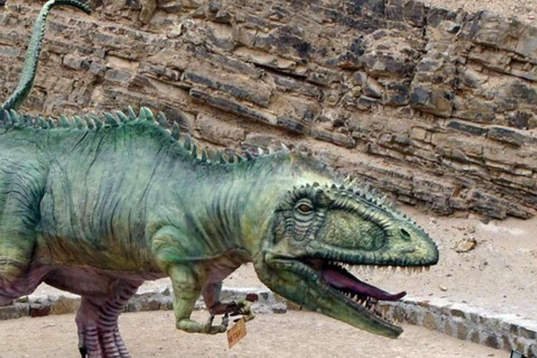 Arequipa: Excursion to Querulpa and Chancaray