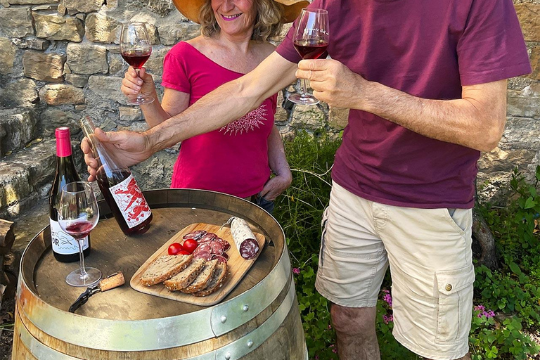 Béziers : Explora los viñedos de Faugères con un picnic