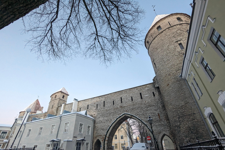 从赫尔辛基出发：塔林一日游（含轮渡和晚餐）