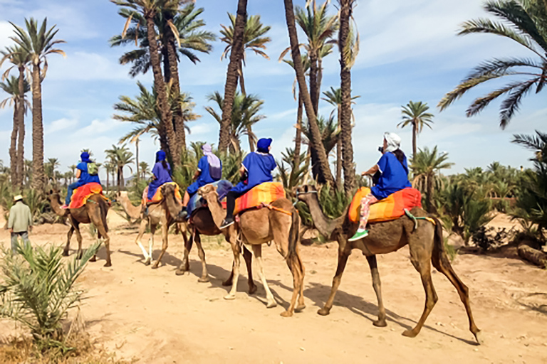 Marrakech : balade en chameau à la palmeraieMarrakech : balade en chameau de 3 h à la palmeraie