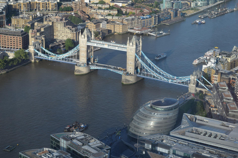 Visite d'une jounée à Londres dans un véhicule privé avec entréesVisite de Londres d'une journée complète dans un véhicule privé avec droit d'entrée