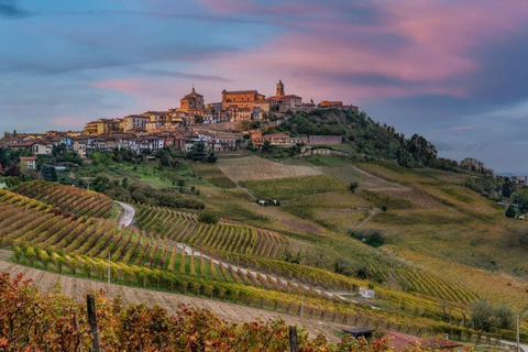 Milan: Barolo Vineyards & UNESCO Wine Cathedral Experience