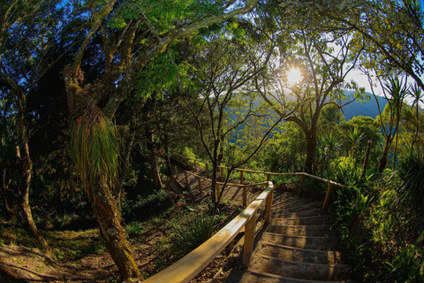 San Salvador: Boquerón National Park & Botanical Garden Tour