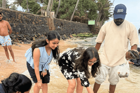Sigiriya → Anywhere: Private Car Journey with Flexible Stops Private Van with Driver – Up to 100 km (Island-wide)