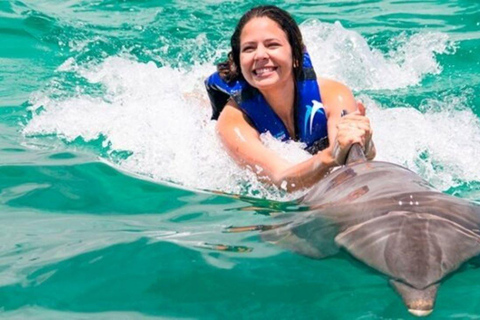 Punta Cana: Dolphin Explorer Program