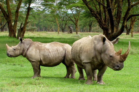 Nationaal park Amboseli: Dagvullende tour vanuit Nairobi