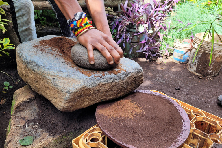 Moshi: Materuni Waterfall, Coffee Tour, Kikuletwa Hot Spring