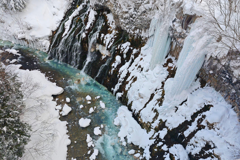 Asahikawa,Biei and Furano Wonderland day Tour in small group Itinerary C: Fairy Terrace Illumination Exclusive Tour