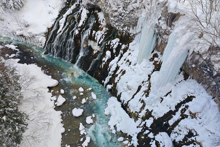 Asahikawa,Biei and Furano Wonderland day Tour in small group Itinerary C: Fairy Terrace Illumination Exclusive Tour