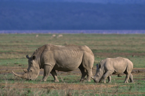 5 Tage Safari in Tansania - Wildnis und Kultur erleben