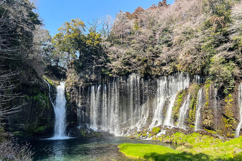 Da Tokyo: Tour di un giorno sul Monte Fuji, i luoghi più belli da fotografare