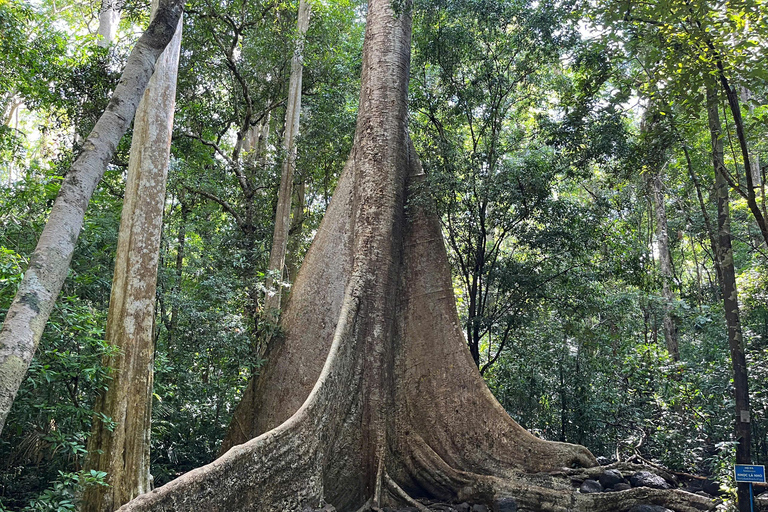 From Ho Chi Minh: Cat Tien National Park 2-Day Tour