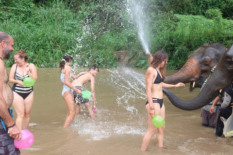 Chiang Mai: Elephant Sanctuary &amp; Jungle Trek w/ WaterfallSanctuary,Trekking,waterfall and bamboo rafting