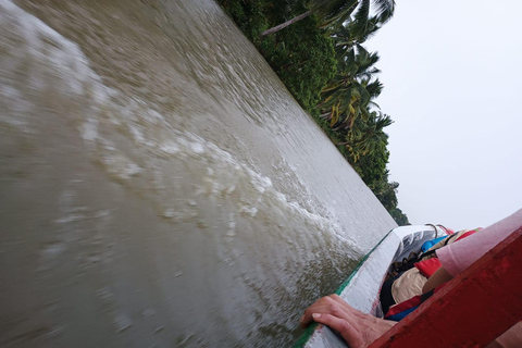 Get to know the beauty of the Salamanca Island&#039;s Lathe Swamp