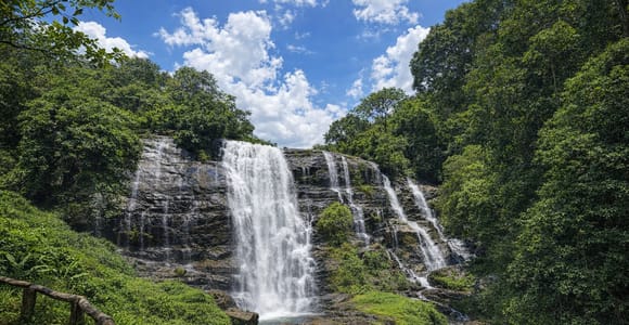Chiang Mai: A Day Above the Clouds at Doi Inthanon + Pickup