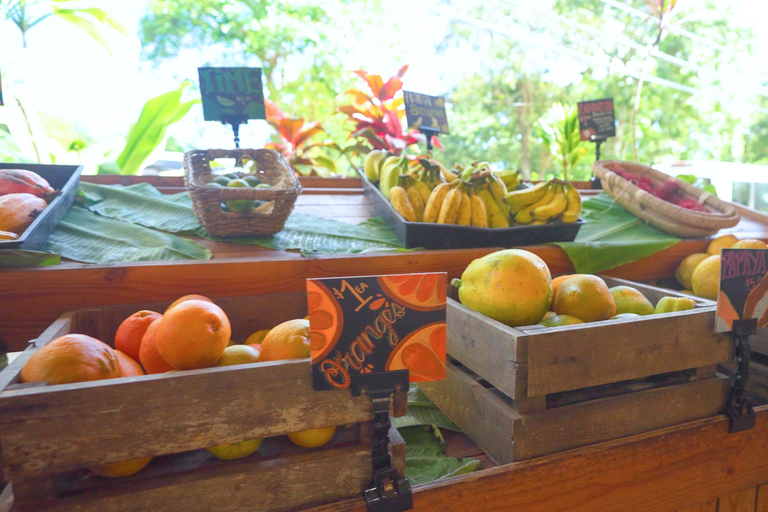 From Maui: Road to Hana Rainforest and Waterfall Experience