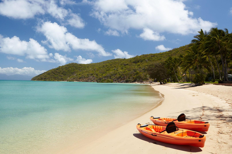 Cairns: 3-Day Daintree, Cape Tribulation & Port Douglas Tour Private Single Room (Adults only)