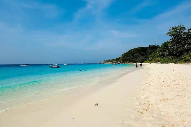 Similan Catamaran Small Group Day Tour From Phuket/Khao Lak