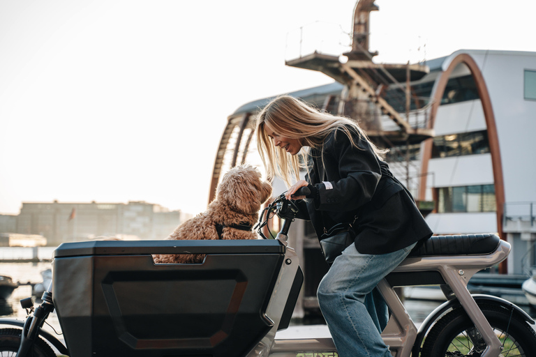 Eindhoven: Cargo Bike Rental with Routes