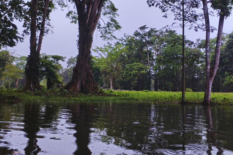 Private Kayaking Adventure: a 2-hour Wildlife Escape Self-Guided Kayaking Adventure: a 2-hour Wildlife Escape