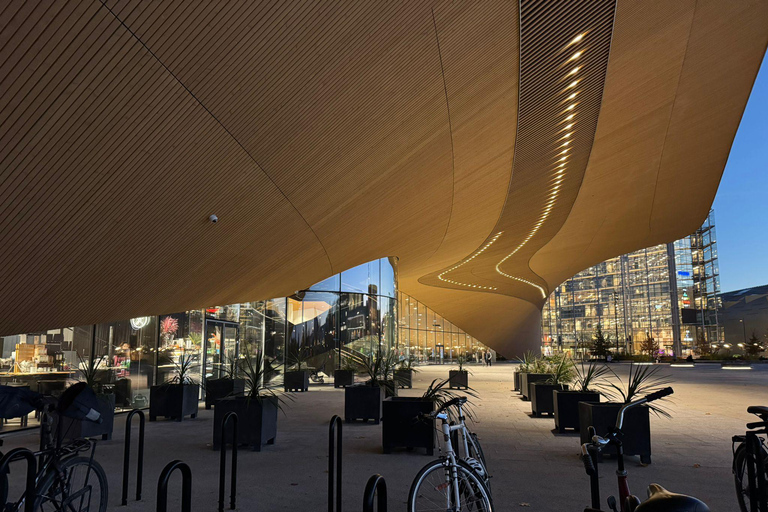 Glorious Helsinki Illuminated: Private Evening Driving Tour