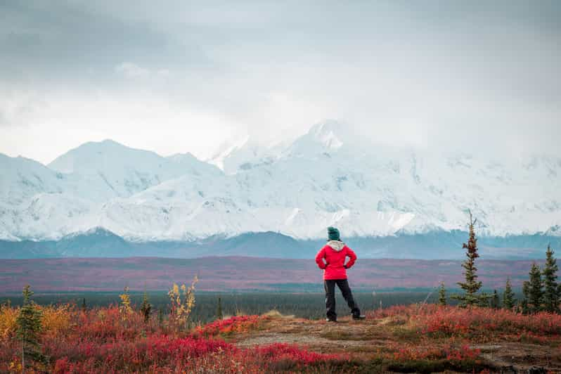 denali national park tour guide