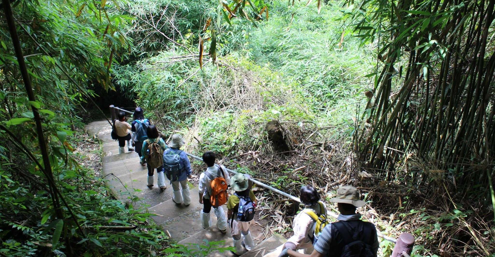 Terug naar de natuur trekking en wandelen in Khao Yai National Park - Housity