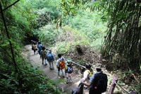 Retour à la randonnée et à la randonnée dans le parc national de Khao Yai - Housity