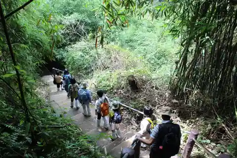 Retour à la nature Trekking et randonnée dans le parc national de Khao Yai